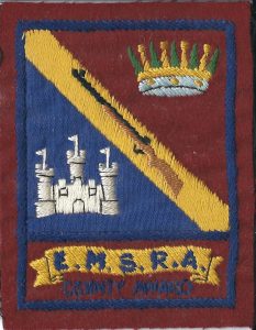 emsra county award badge